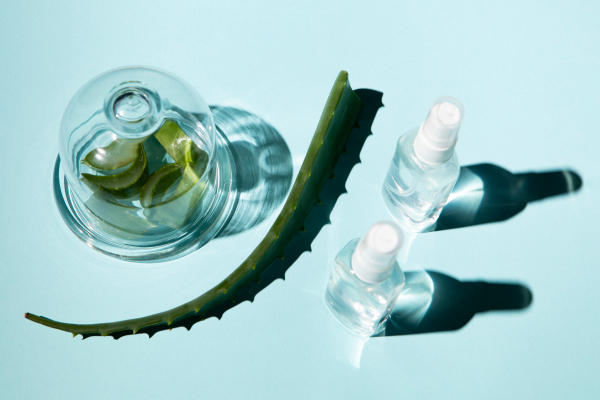 Применение алоэ вера в корейской косметике Применение алоэ вера в корейской косметике